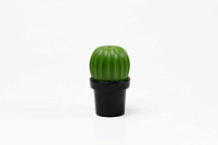 МЕЛЬНИЦА ДЛЯ СПЕЦИЙ Tasty Cactus, Зеленый/Черный МЕЛЬНИЦА ДЛЯ СПЕЦИЙ Tasty Cactus, Зеленый/Черный