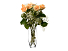 Ваза для цветов h=260мм Flora