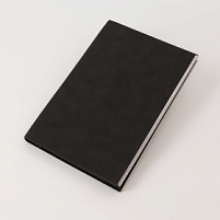 Ежедневник City New Standart недатированный, черный