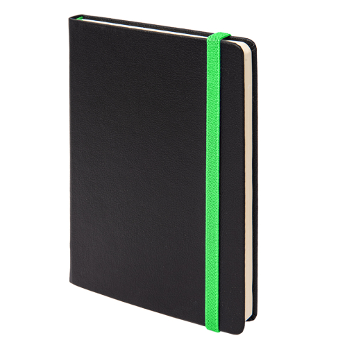 Ежедневник недатированный Ray, формат А5, в клетку, черный, зеленый