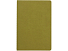 Бизнес тетрадь А5 Pragmatic, 40 листов в клетку, зеленый хаки