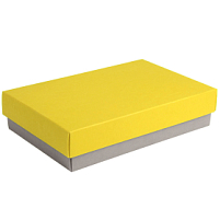 Коробка подарочная CRAFT BOX размер 17,5 x 11,5 x 4 см, серый, желтый Коробка подарочная CRAFT BOX размер 17,5 x 11,5 x 4 см, серый, желтый