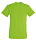 Футболка мужская REGENT150, лаймовый