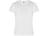 Футболка Camimera мужская, белый