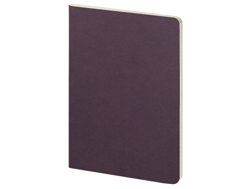 Бизнес тетрадь А5 Pragmatic, 40 листов в клетку, фиолетовый