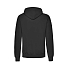 Толстовка с начесом CLASSIC HOODED SWEAT 280, черный