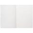 Ежедневник Flat Light, недатированный, серый