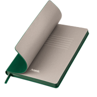 Ежедневник Rain недатированный, зеленый (без упаковки, без стикера)