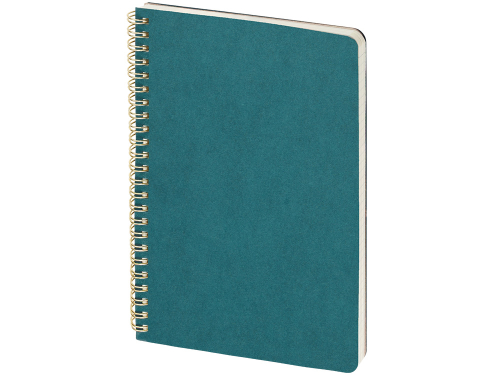 Бизнес тетрадь на гребне А5 Pragmatic, 60 листов в клетку, карибский синий