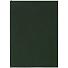 Ежедневник Flat Light, недатированный, зеленый