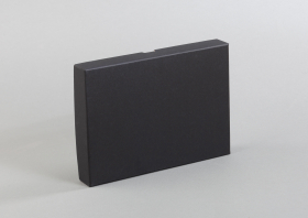 Подарочная коробка без ложемента (крышка-дно, 22 х 3 х 15,5 см)