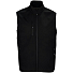 Жилет Falcon BW Men, черный