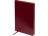 Ежедневник недатированный А5 Megapolis Nebraska, бордовый с золотым обрезом