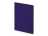 Бизнес-тетрадь А5 Pragmatic Contrast, 40 листов в клетку, фиолетовый с салатовым срезом