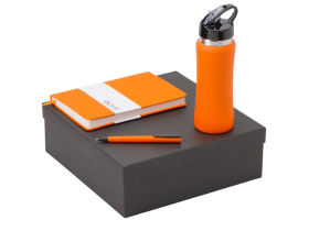 Подарочный набор c блокнотом C3, ручкой и бутылкой, оранжевый