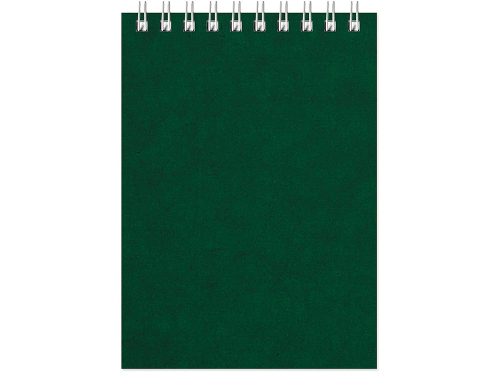 Бизнес - блокнот Альт А6 (94 х 130 мм) Office 60 л., зеленый