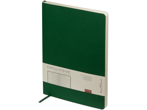 Ежедневник недатированный B5 Megapolis Flex (зеленый)