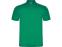 Рубашка поло Austral мужская, зеленый