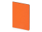 Бизнес-тетрадь А5 Pragmatic Contrast, 40 листов в клетку, оранжевый с темно-серым срезом