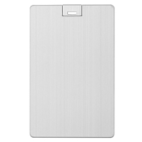 Флешка Platinum Card, 32 Гб, серебристая