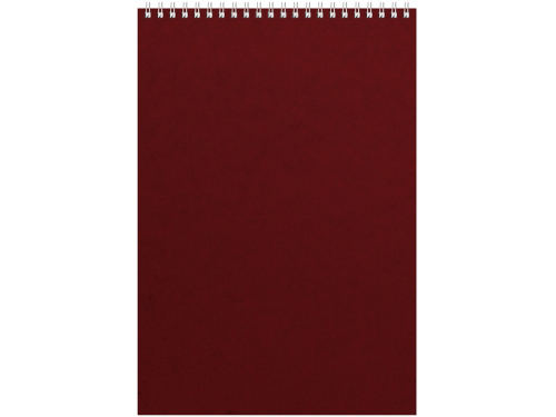 Бизнес - блокнот Альт А4 (198 х 285 мм) Office 60 л., бордовый