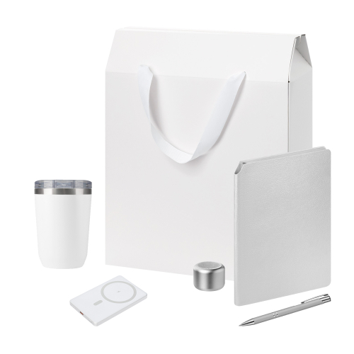 Подарочный набор Велком Пак Премиум (Welcome Pack Premium), серебряный (термокружка, колонка, ежедневник, ручка, ЗУ, коробка-пакет)