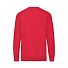 Свитшот без начеса LIGHTWEIGHT SET-IN SWEAT 240, красный