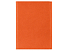 Обложка на магнитах для автодокументов и паспорта Favor, оранжевая