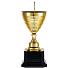 Кубок Floretta Oval, средний, золотистый