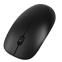 Мышь беспроводная SPECTRE, черная, пластик, черный