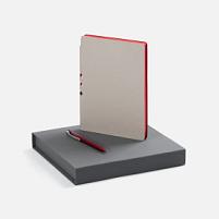 Набор Flexpen Grey, красный Набор Flexpen Grey, красный