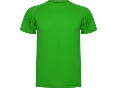 Спортивная футболка Montecarlo мужская, папоротниковый