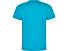 Футболка Dogo Premium мужская, бирюзовый