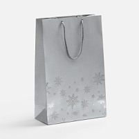 Пакет Wintry, серебристый Пакет Wintry, серебристый