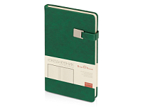 Ежедневник недатированный А5 Premier, зеленый