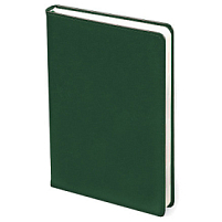 Ежедневник City Buffalo А5, Зеленый