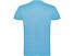 Футболка Beagle мужская, небесно-голубой