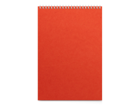 Бизнес - блокнот А4 (198 х 285 мм) Office 60 л., оранжевый