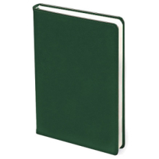 Ежедневник City Buffalo А5, Зеленый