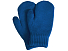 Варежки Dunant, классический синий