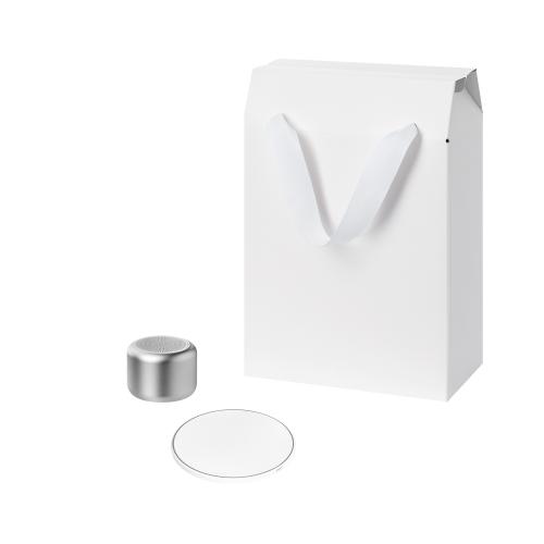 Подарочный набор Пэшн, Аурис (Passion, Auris), серебряный (колонка, зарядное устройство)