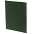Ежедневник Flat Light, недатированный, зеленый