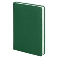 Ежедневник City Soft Touch Latte А5, Зеленый
