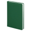 Ежедневник City Soft Touch Latte А5, Зеленый