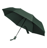 Зонт складной Atlanta, зеленый
