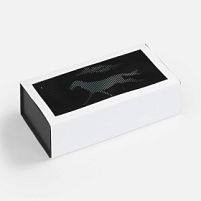 Коробка «Динамика успеха»