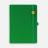 Ежедневник Favor Gold, недатированный, ярко-зеленый