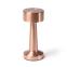 Настольная лампа REIKI cо встроенной батареей HF-8, Розовое золото
