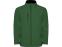 Куртка софтшелл Nebraska мужская, бутылочный зеленый