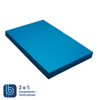Коробка под ежедневник Bplanner (голубой)